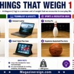10 Things That Weigh 1 KG (With Real-Life Examples)