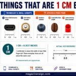 How Big Is 1 CM Everyday Things That Are 1 CM Big