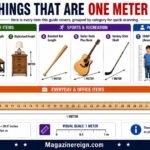 How Big Is a Meter (With Everyday Examples)