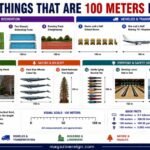 How Long Is 100 Meters 15 Common Things That Are 100 Meters Long