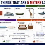 How Long Is 5 Meters 12 Common Things That Are 5 Meters Long