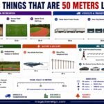 How Long Is 50 Meters 14 Common Things That Are 50 Meters Long