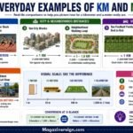 How Many Meters Are in a Kilometer (With Everyday Examples)
